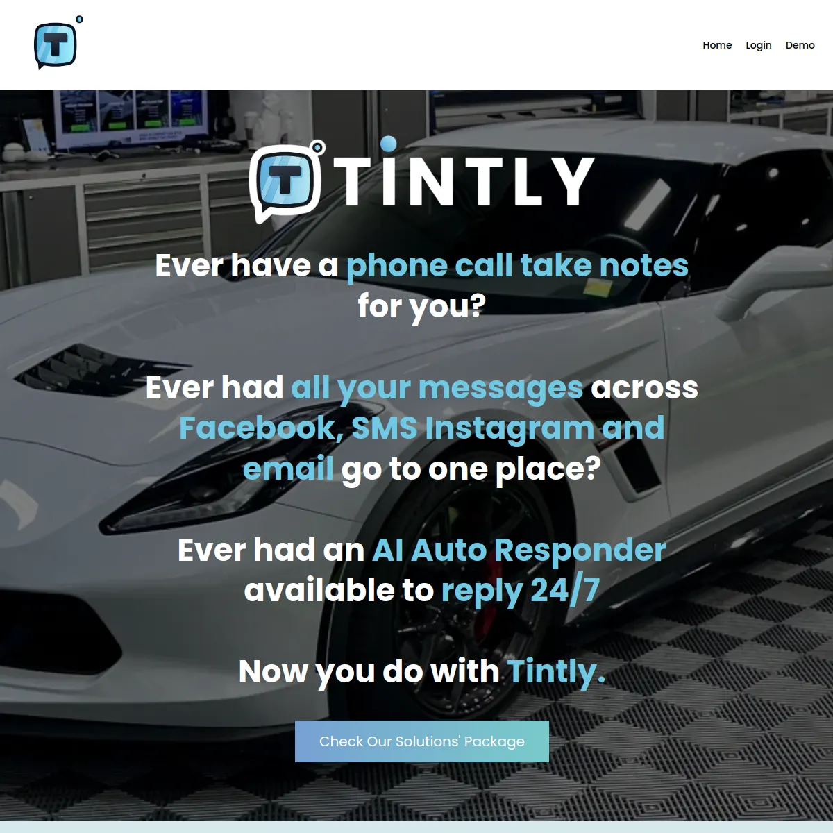 Tintly car tint shop website homepage